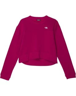 The North Face Kids Hoodies & Sweatshirts Camp Fleece Crew (Little Kids/Big Kids)