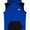 The North Face Kids Hoodies & Sweatshirts Never Stop Sleeveless Hoodie (Little Kids/Big Kids)
