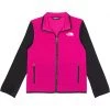The North Face Kids Coats & Outerwear Winter Warm Hybrid Full Zip (Little Kids/Big Kids)