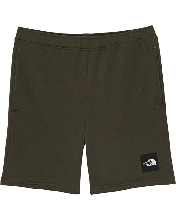 The North Face Kids Never Stop Training Shorts (Little Kids/Big Kids) 1 The North Face Kids Never Stop Training Shorts (Little Kids/Big Kids)