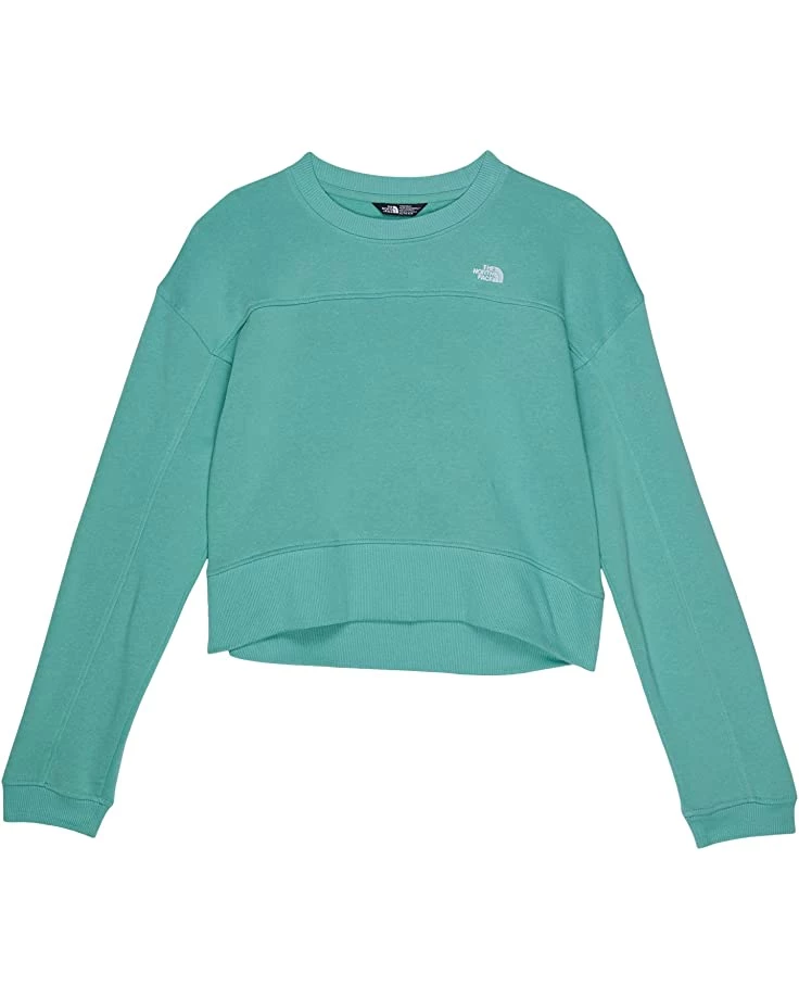 The North Face Kids Hoodies & Sweatshirts Camp Fleece Crew (Little Kids/Big Kids) 4 The North Face Kids Hoodies & Sweatshirts Camp Fleece Crew (Little Kids/Big Kids) - Image 4