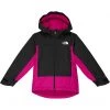 The North Face Kids Coats & Outerwear Freedom Insulated Jacket (Little Kids/Big Kids)