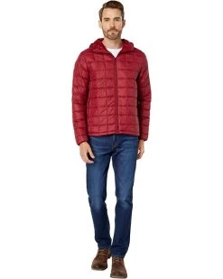 The North Face Coats & Outerwear Thermoball Eco Hoodie -The North Face Sales 61lyvqv22YL. AC SR736920