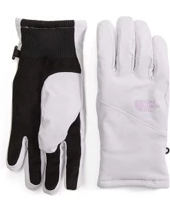 The North Face Shelbe Raschel Etip Gloves