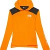 The North Face Kids Hoodies & Sweatshirts Long Sleeve Never Stop Hoodie (Little Kids/Big Kids)