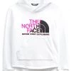 The North Face Kids Hoodies & Sweatshirts Camp Fleece Pullover Hoodie (Little Kids/Big Kids)
