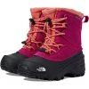 The North Face Kids Boots Alpenglow V Waterproof (Toddler/Little Kid/Big Kid)