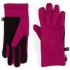 The North Face Etip Recycled Gloves