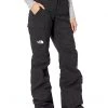 The North Face Outerwear Pants and Sets Freedom Insulated Pants