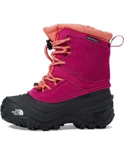 The North Face Kids Boots Alpenglow V Waterproof (Toddler/Little Kid/Big Kid) -The North Face Sales 71ScnX70a9L. AC SR736920