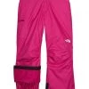 The North Face Kids Outerwear Pants and Sets Freedom Insulated Pants (Little Kids/Big Kids)