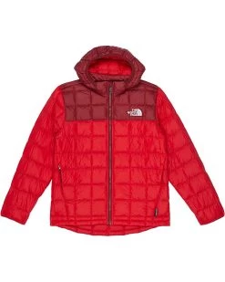 The North Face Kids Coats & Outerwear Thermoball™ Hooded Jacket (Little Kids/Big Kids) -The North Face Sales 71e7PdE66L. AC SR736920
