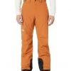 The North Face Outerwear Pants and Sets Freedom Insulated Pant