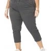 The North Face Pants Plus Size Aphrodite Motion Capris