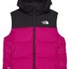 The North Face Kids Coats & Outerwear Reversible North Down Hooded Vest (Little Kids/Big Kids)