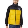 The North Face Coats & Outerwear 1996 Retro Nuptse Vest