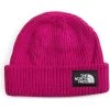 The North Face Hats Salty Dog Beanie