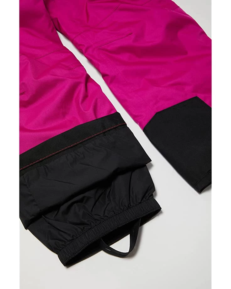 The North Face Kids Outerwear Pants and Sets Freedom Insulated Bib (Toddler) 2 The North Face Kids Outerwear Pants and Sets Freedom Insulated Bib (Toddler) - Image 2