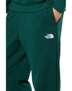 The North Face Half Dome Sweatpants 11 The North Face Half Dome Sweatpants -The North Face Sales 81sTNIuV8AL. AC SR736920